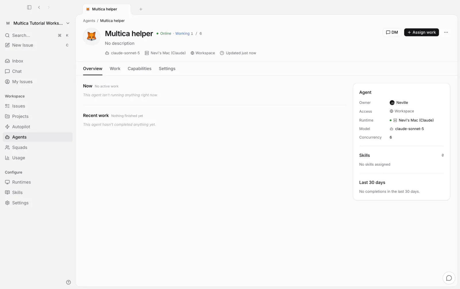 Agent detail: Multica helper online