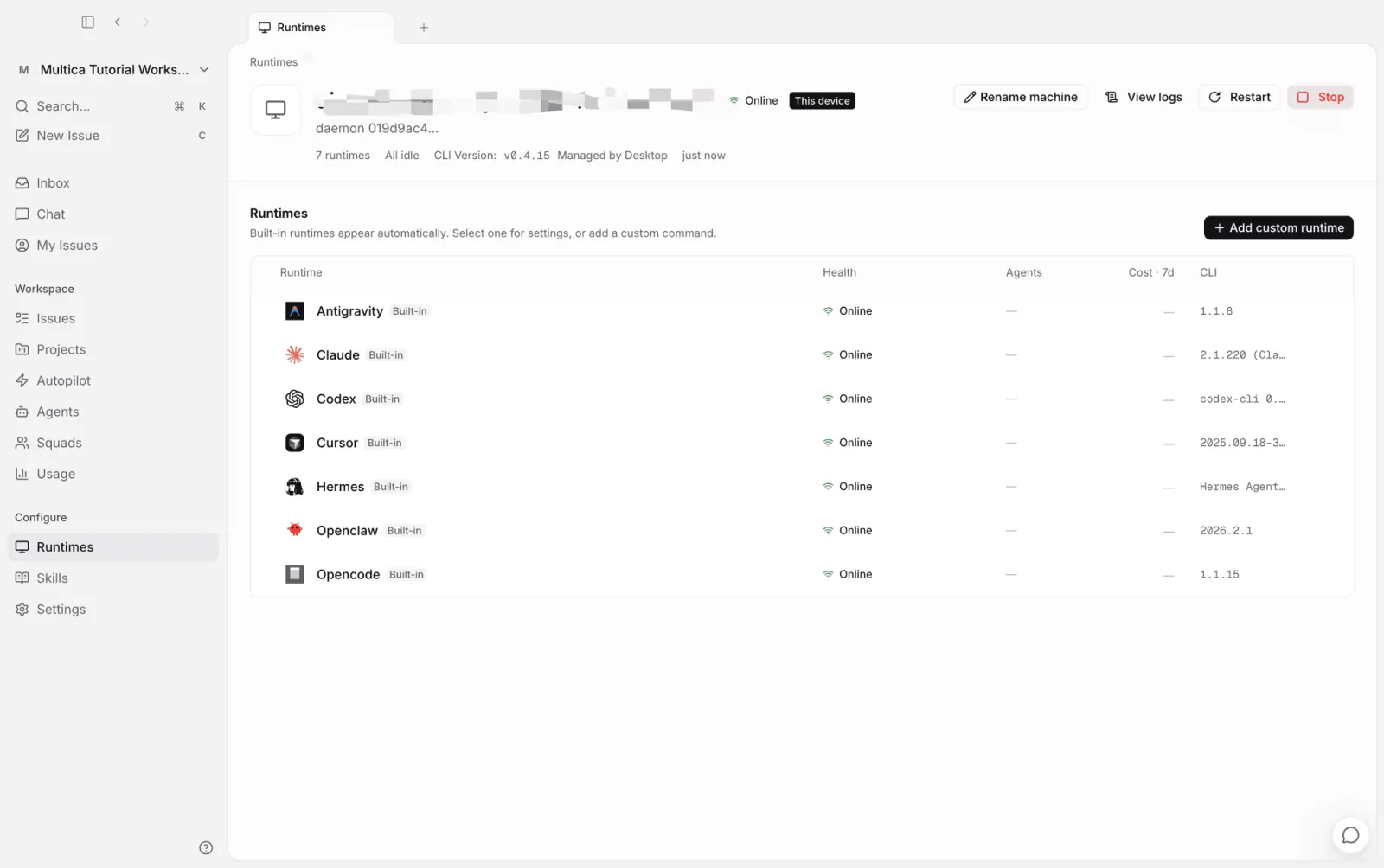 Runtime detail: the detected AI coding tools